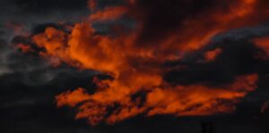 DSC_8607